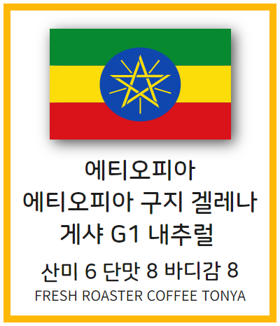 에티오피아 구지 겔라나 게샤 내추럴 100g (생두무게기준)
